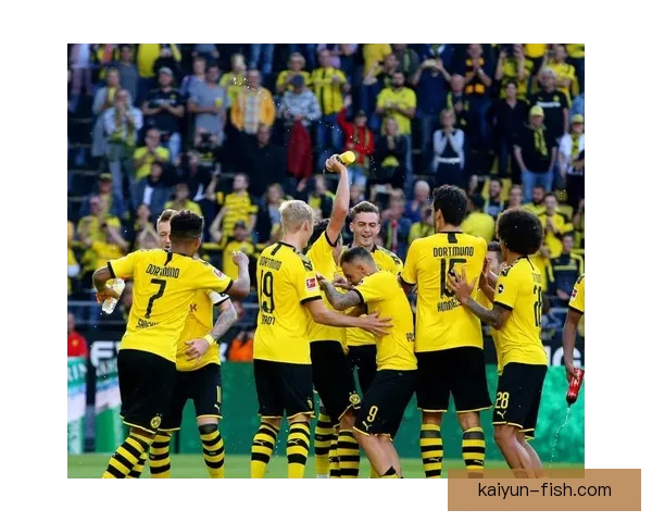 德甲豪门引援名单曝光，多特蒙德与拜仁聚焦锋线补强