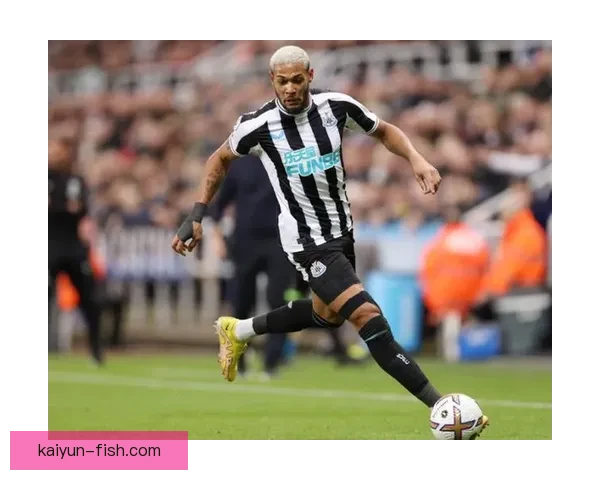 乔·威洛克本赛季表现稳健，持续提升在英超赛场的竞争力