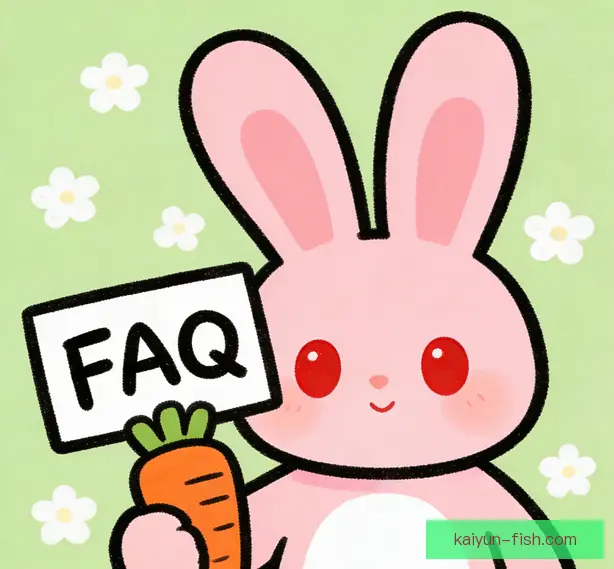 常见问题